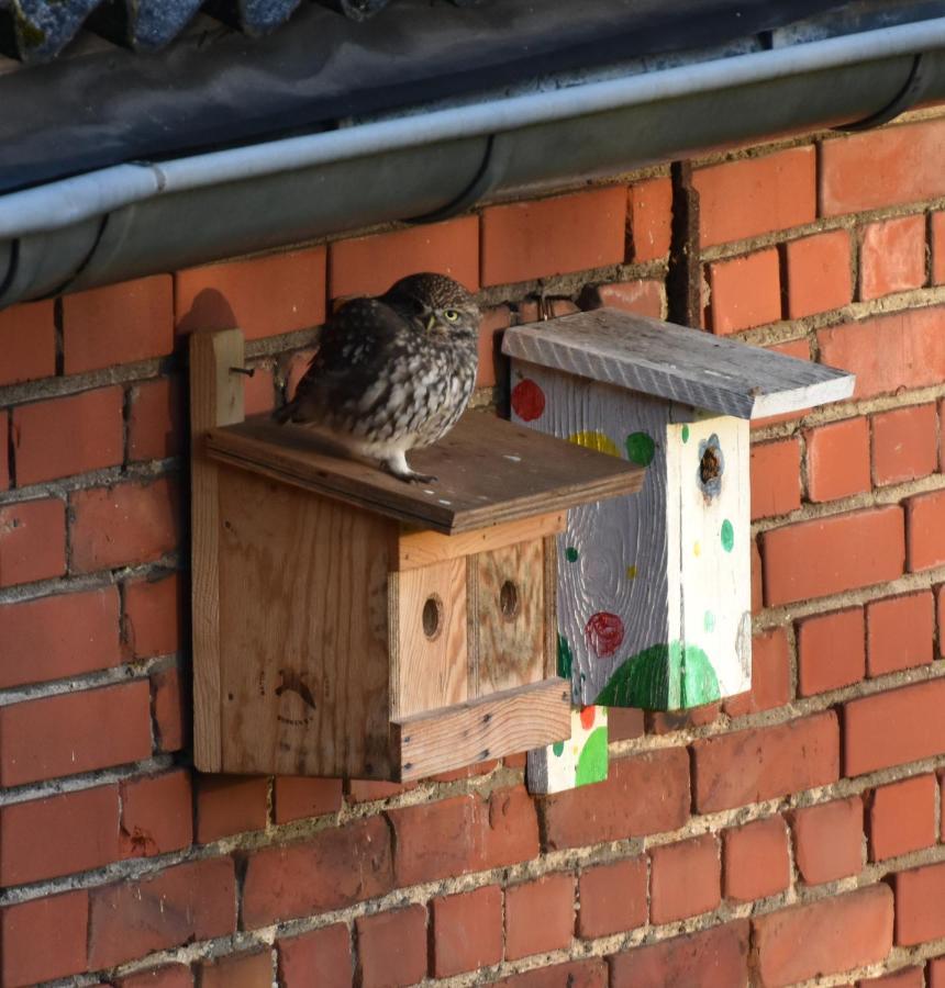 Kreativhof Lehmberg Apartamento Hamminkeln Exterior foto